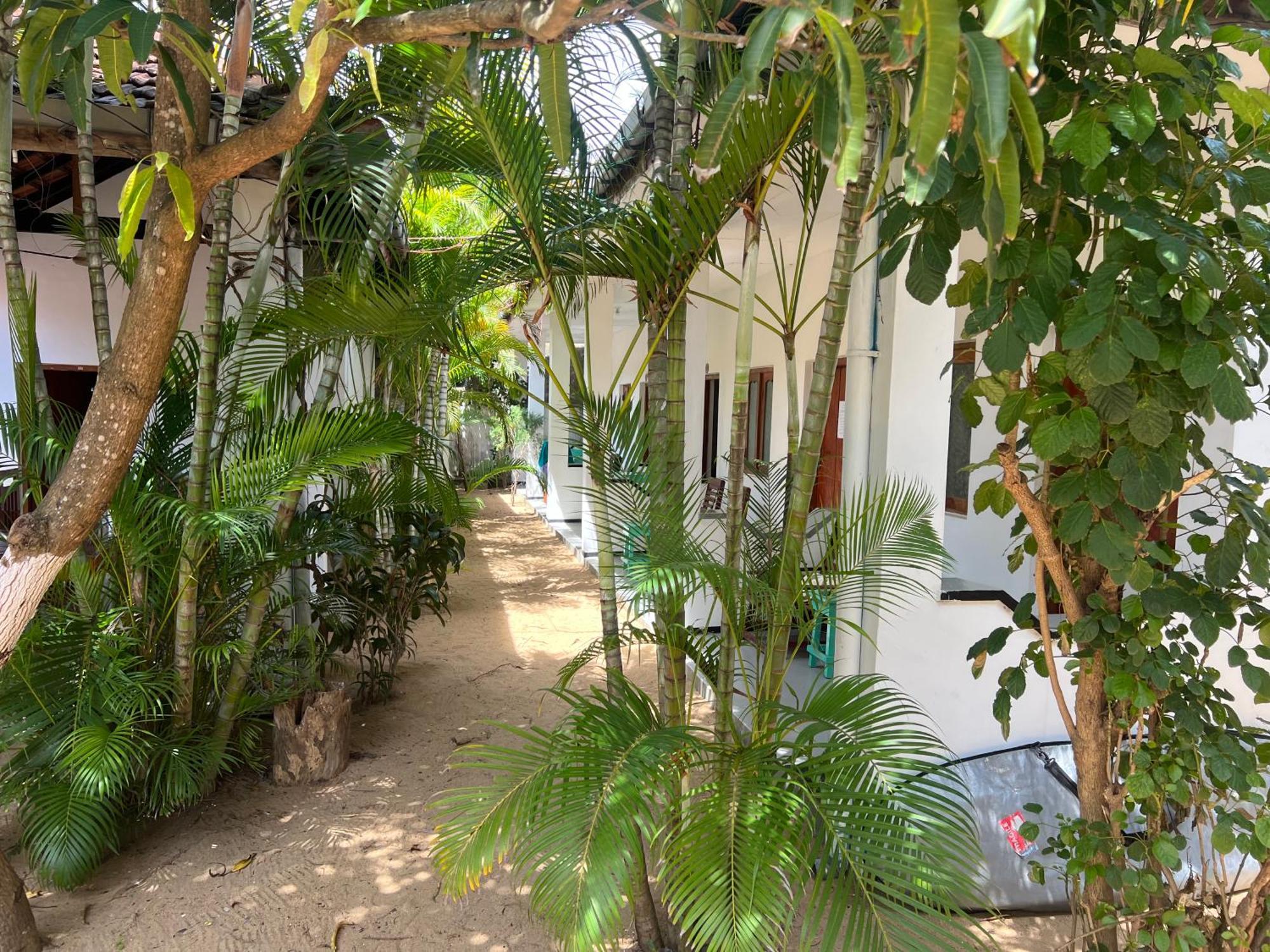 Moxy Bay Arugambay Hotel Arugam Bay Buitenkant foto