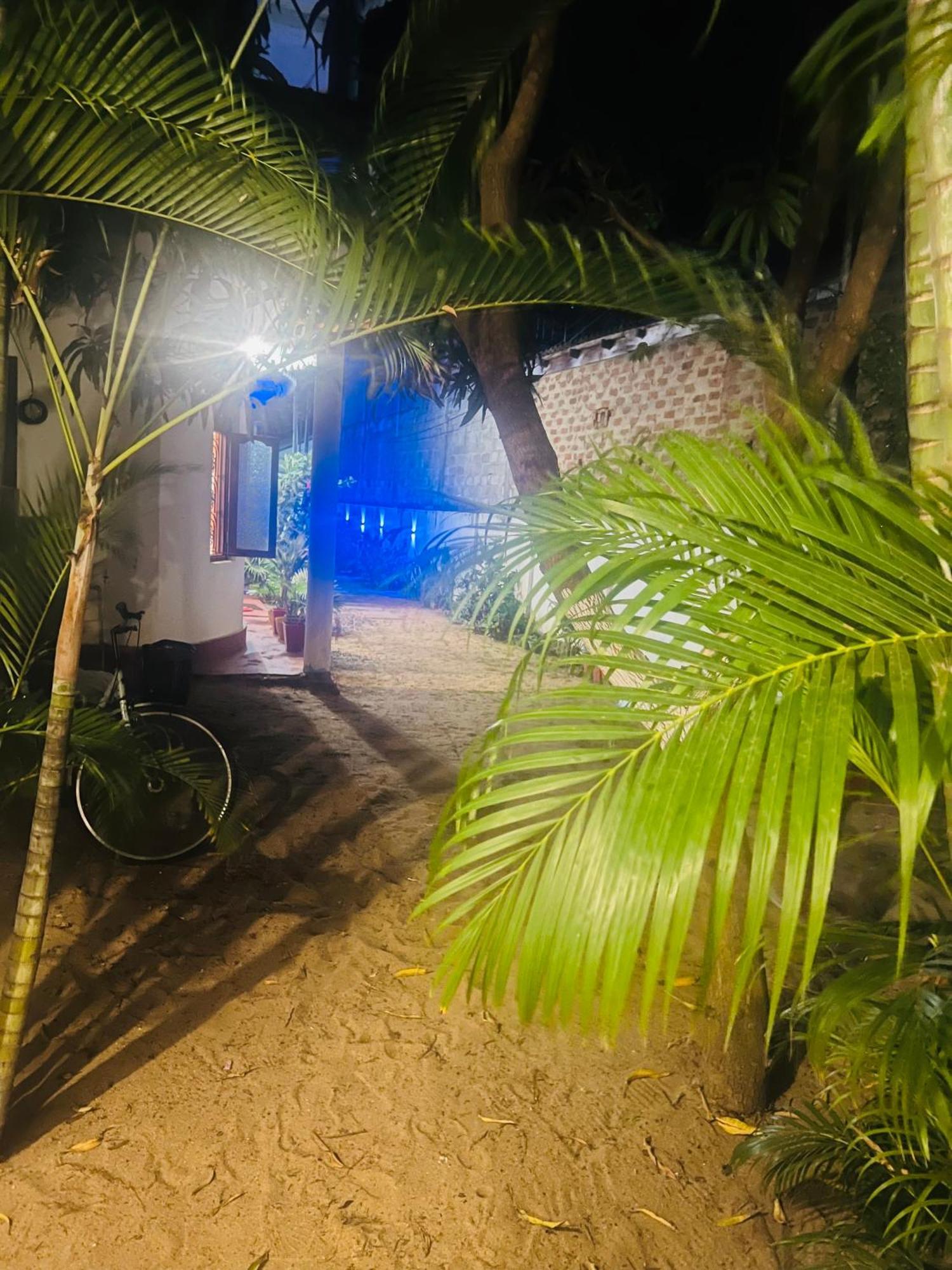 Moxy Bay Arugambay Hotel Arugam Bay Buitenkant foto