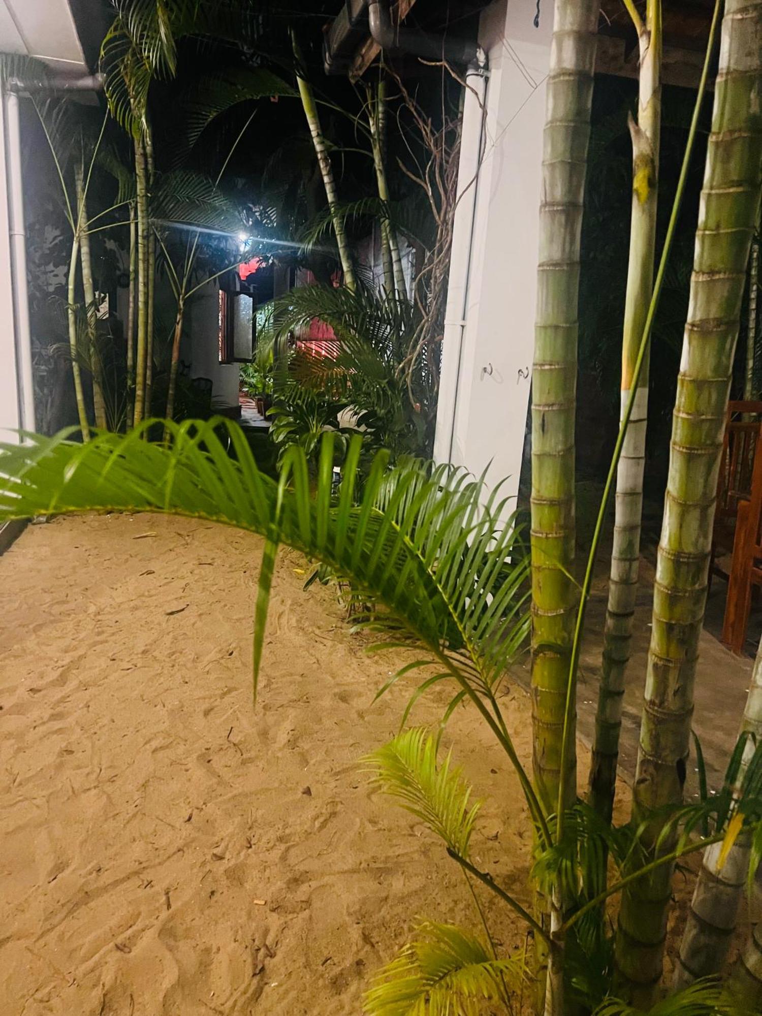 Moxy Bay Arugambay Hotel Arugam Bay Buitenkant foto
