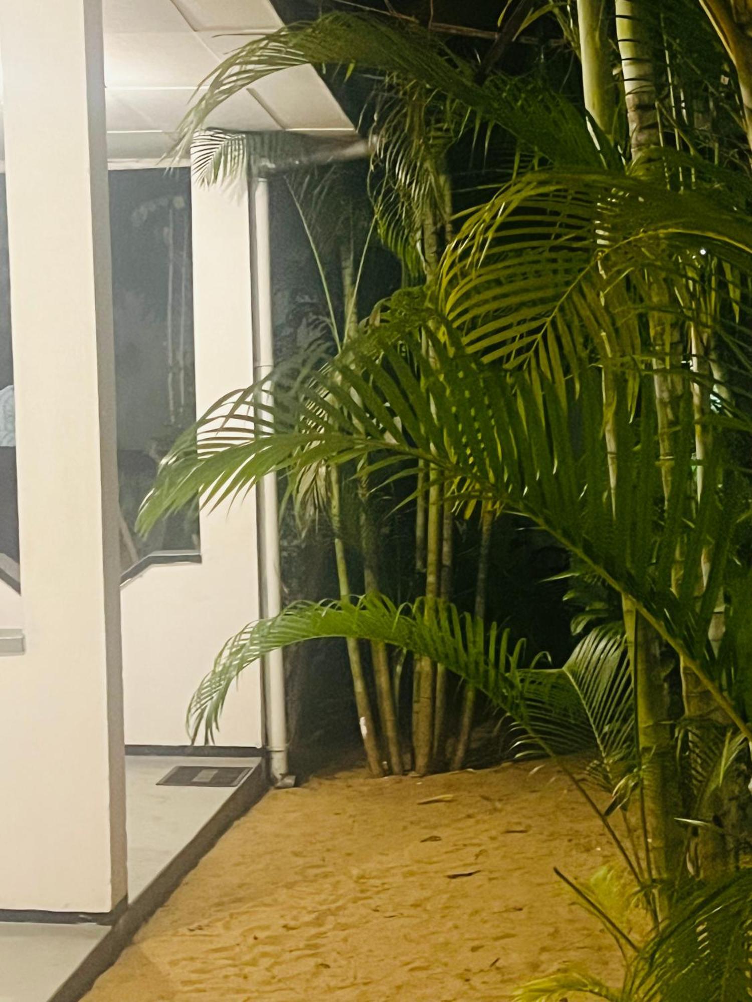 Moxy Bay Arugambay Hotel Arugam Bay Buitenkant foto